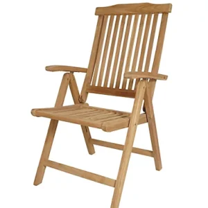 Taryn Folding Teak Outdoor Chair